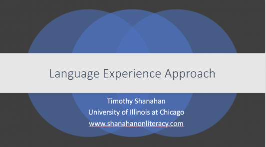  Language Experience Approach