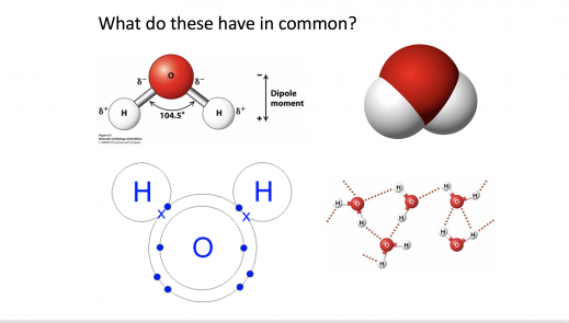 Science Disciplinary Graphics