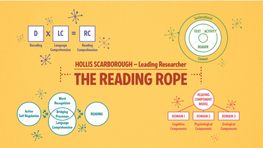 Models Behind the Science of Reading